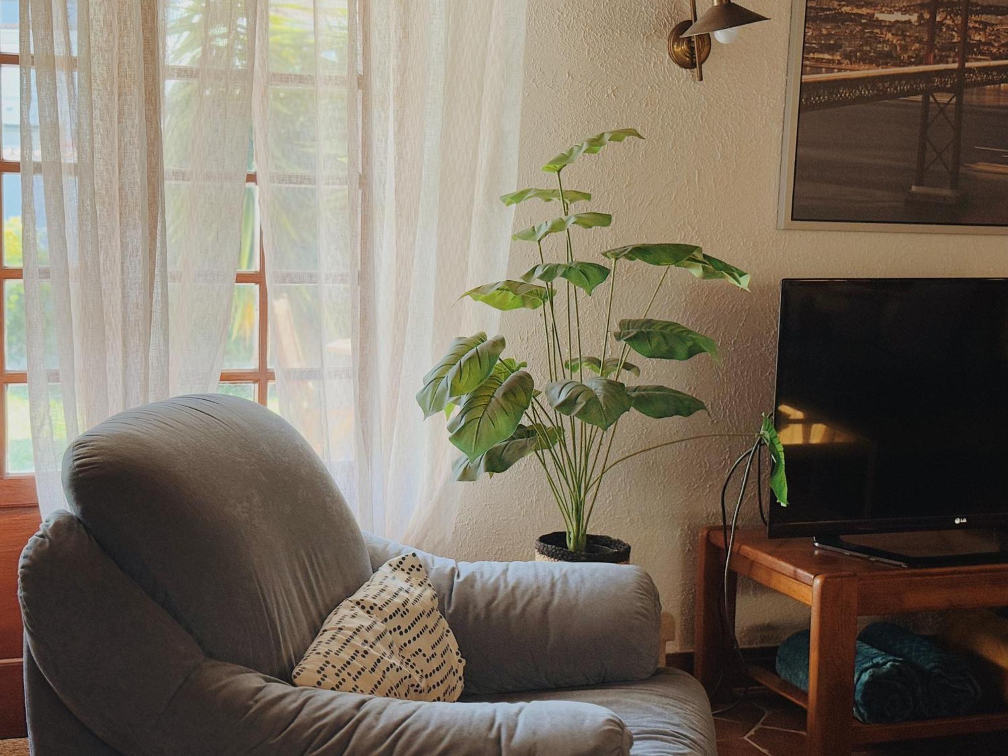 Coastal Garden Paradise Retreat- 6 Min From The Beach Charneca de Caparica Exterior foto